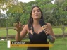 TV Morena enaltece potencial tur�stico de Parana�ba